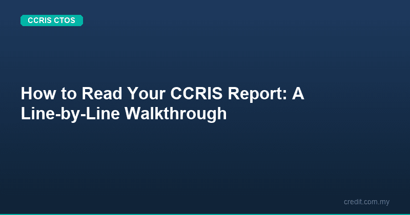 How to Read Your CCRIS Report: A Line-by-Line Walkthrough